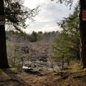 Meet your Posher, Cédric